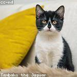 Aleen Casper Profile Picture