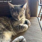 Ubaldo Hane Profile Picture