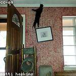 Amir Yundt Profile Picture